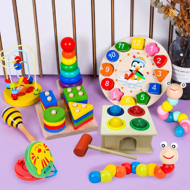 Educational Montessori Wooden Toys